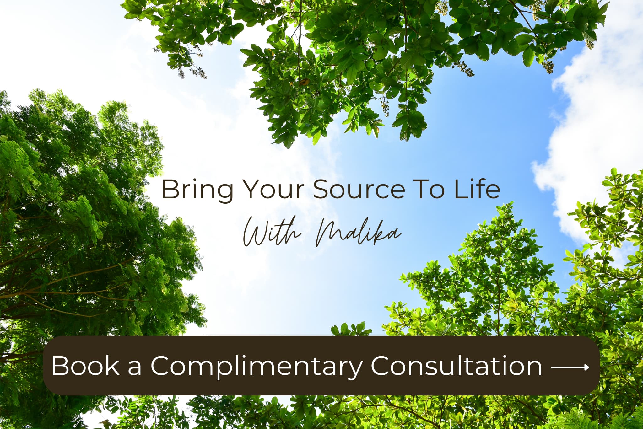 Bring Your Source To Life_Banner-non-boldrs